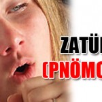 03.12.2010-03.06.57__zature