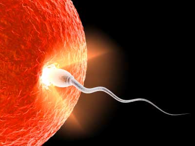 Erkek Kısırlığı (infertilite)