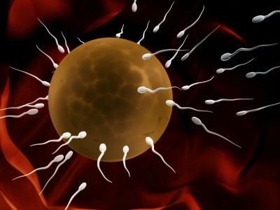 Sperm Elde Etme Yöntemleri Nelerdir?