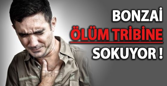 Bonzai Nedir? Bonzai Etkileri Nelerdir? Bonzai Zararları Nelerdir?