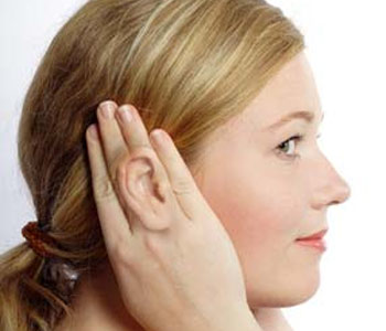 Kulak Yapısı ve Görevi