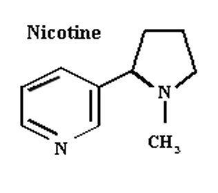 Nikotin Nedir? Zararları Nelerdir? Nikotin Kanser Yapar mı?