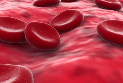 What is Blood?